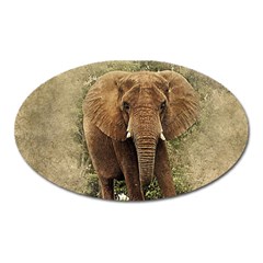 Elephant Animal Art Abstract Oval Magnet by Celenk