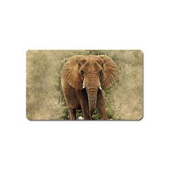 Elephant Animal Art Abstract Magnet (name Card) by Celenk