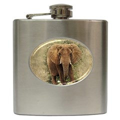 Elephant Animal Art Abstract Hip Flask (6 Oz) by Celenk