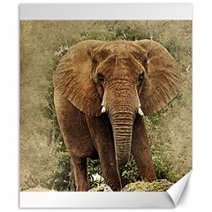 Elephant Animal Art Abstract Canvas 20  X 24   by Celenk