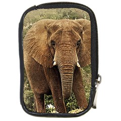 Elephant Animal Art Abstract Compact Camera Cases by Celenk