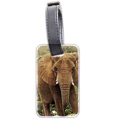 Elephant Animal Art Abstract Luggage Tags (two Sides) by Celenk