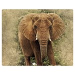 Elephant Animal Art Abstract Double Sided Flano Blanket (Medium)  60 x50  Blanket Front