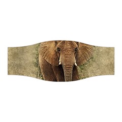 Elephant Animal Art Abstract Stretchable Headband