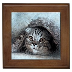 Cat Pet Art Abstract Vintage Framed Tiles by Celenk