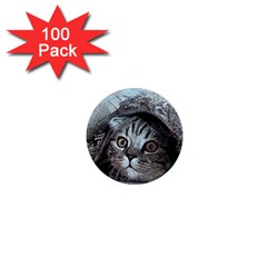 Cat Pet Art Abstract Vintage 1  Mini Magnets (100 Pack)  by Celenk