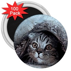 Cat Pet Art Abstract Vintage 3  Magnets (100 Pack) by Celenk