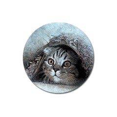 Cat Pet Art Abstract Vintage Magnet 3  (round) by Celenk