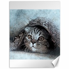 Cat Pet Art Abstract Vintage Canvas 36  X 48   by Celenk