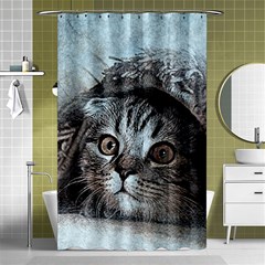 Cat Pet Art Abstract Vintage Shower Curtain 48  X 72  (small)  by Celenk