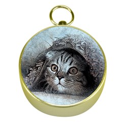 Cat Pet Art Abstract Vintage Gold Compasses by Celenk