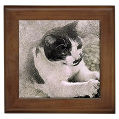 Cat Pet Art Abstract Vintage Framed Tiles by Celenk