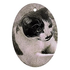 Cat Pet Art Abstract Vintage Ornament (oval) by Celenk