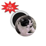 Cat Pet Art Abstract Vintage 1.75  Magnets (10 pack)  Front