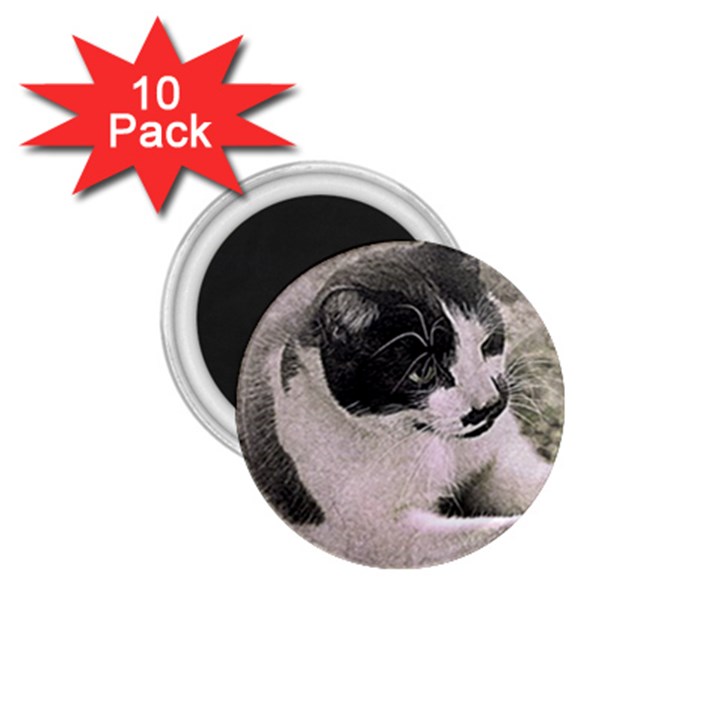 Cat Pet Art Abstract Vintage 1.75  Magnets (10 pack) 