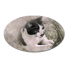 Cat Pet Art Abstract Vintage Oval Magnet by Celenk