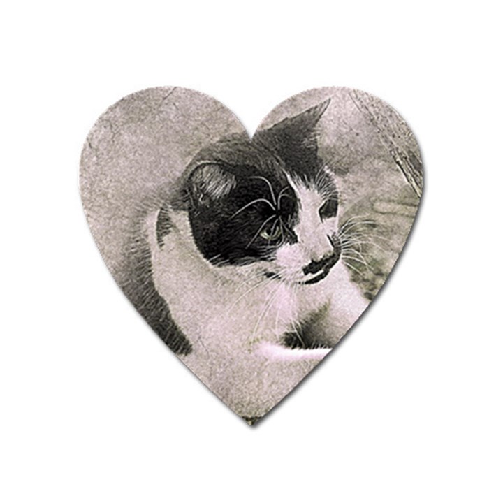 Cat Pet Art Abstract Vintage Heart Magnet