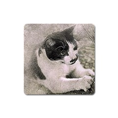 Cat Pet Art Abstract Vintage Square Magnet by Celenk