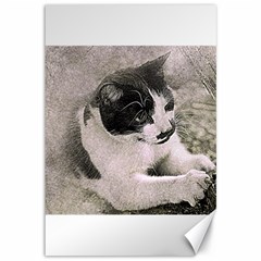 Cat Pet Art Abstract Vintage Canvas 12  X 18   by Celenk