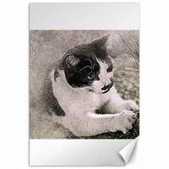 Cat Pet Art Abstract Vintage Canvas 20  X 30   by Celenk