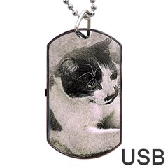 Cat Pet Art Abstract Vintage Dog Tag Usb Flash (one Side) by Celenk