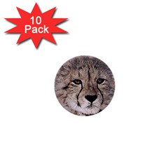 Leopard Art Abstract Vintage Baby 1  Mini Buttons (10 Pack)  by Celenk