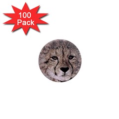 Leopard Art Abstract Vintage Baby 1  Mini Magnets (100 Pack)  by Celenk