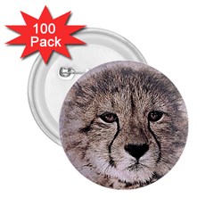 Leopard Art Abstract Vintage Baby 2 25  Buttons (100 Pack)  by Celenk