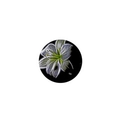 White Lily Flower Nature Beauty 1  Mini Magnets by Celenk