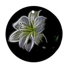 White Lily Flower Nature Beauty Ornament (round) by Celenk