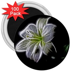 White Lily Flower Nature Beauty 3  Magnets (100 Pack) by Celenk