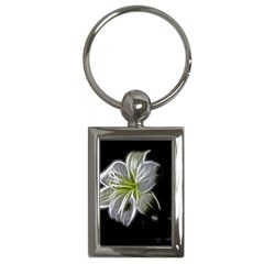 White Lily Flower Nature Beauty Key Chains (rectangle)  by Celenk