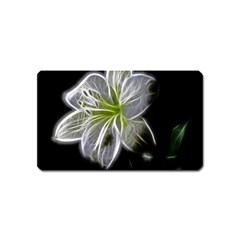 White Lily Flower Nature Beauty Magnet (name Card) by Celenk