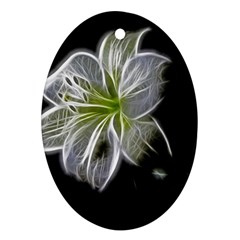 White Lily Flower Nature Beauty Oval Ornament (two Sides) by Celenk