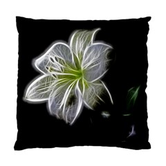 White Lily Flower Nature Beauty Standard Cushion Case (two Sides) by Celenk