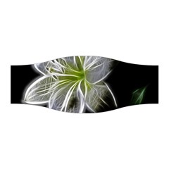 White Lily Flower Nature Beauty Stretchable Headband by Celenk