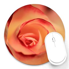 Rose Orange Rose Blossom Bloom Round Mousepads by Celenk