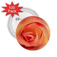 Rose Orange Rose Blossom Bloom 2 25  Buttons (100 Pack)  by Celenk