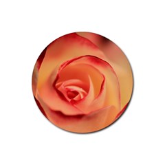 Rose Orange Rose Blossom Bloom Rubber Coaster (round)  by Celenk