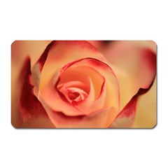 Rose Orange Rose Blossom Bloom Magnet (rectangular) by Celenk