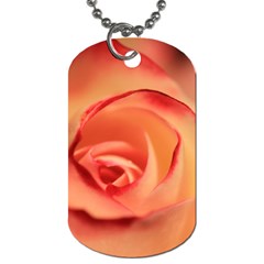 Rose Orange Rose Blossom Bloom Dog Tag (one Side) by Celenk