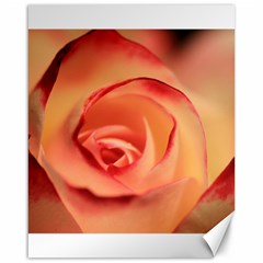 Rose Orange Rose Blossom Bloom Canvas 16  X 20   by Celenk