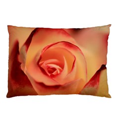 Rose Orange Rose Blossom Bloom Pillow Case (two Sides) by Celenk