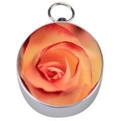 Rose Orange Rose Blossom Bloom Silver Compasses by Celenk