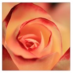 Rose Orange Rose Blossom Bloom Large Satin Scarf (Square) Front