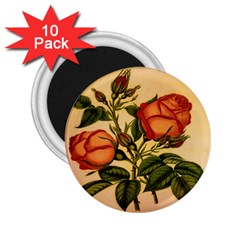 Vintage Flowers Floral 2 25  Magnets (10 Pack)  by Celenk