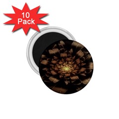 Fractal Flower Floral Bloom Brown 1 75  Magnets (10 Pack)  by Celenk