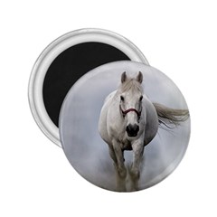 Horse Mammal White Horse Animal 2 25  Magnets by Celenk