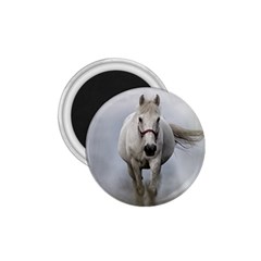 Horse Mammal White Horse Animal 1 75  Magnets by Celenk