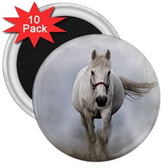 Horse Mammal White Horse Animal 3  Magnets (10 Pack)  by Celenk